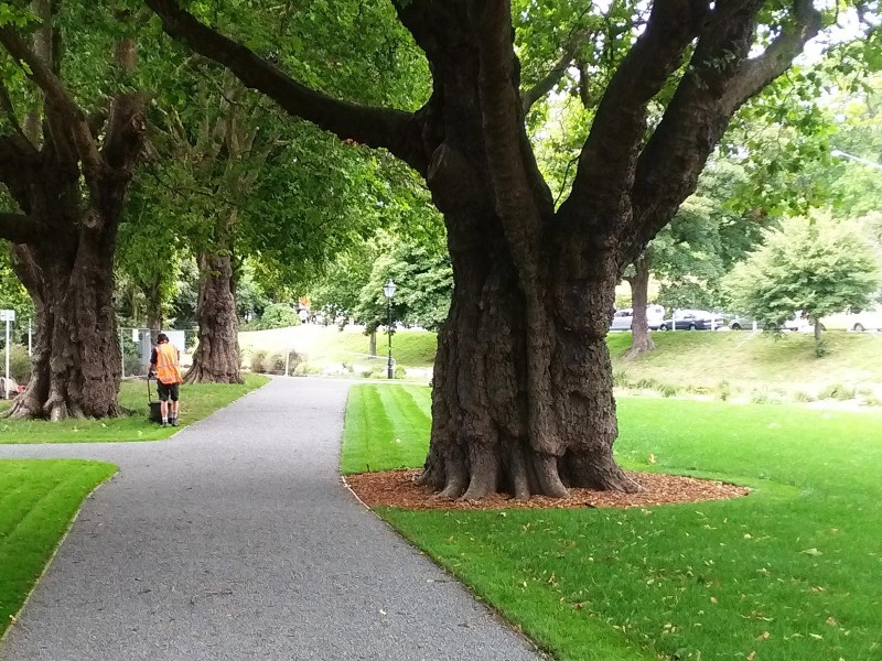 CANTERBURY EARTHQUAKE NATIONAL MEMORIAL - NORTH BANK Detail 2