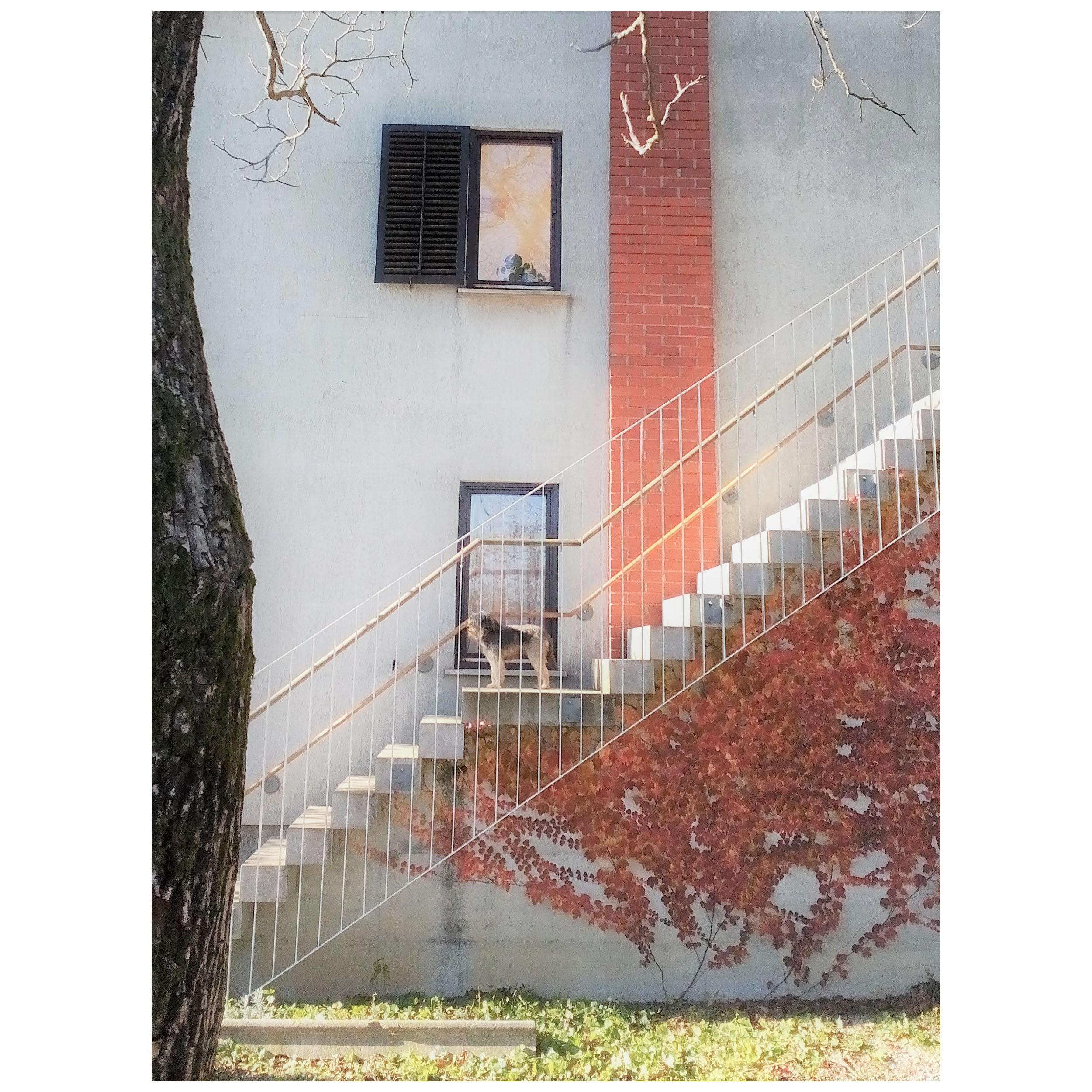 HOUSE IN BILJE Detail 3