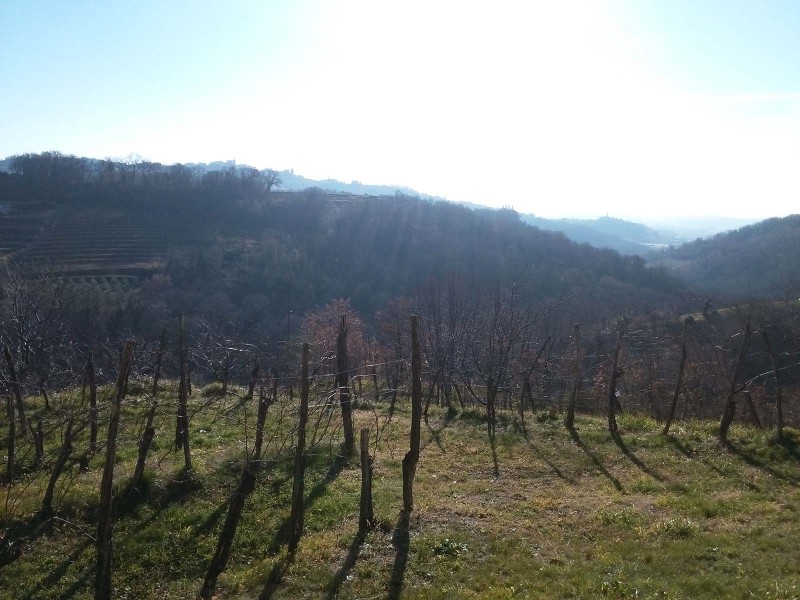 KAVCIC HOUSE Detail 1