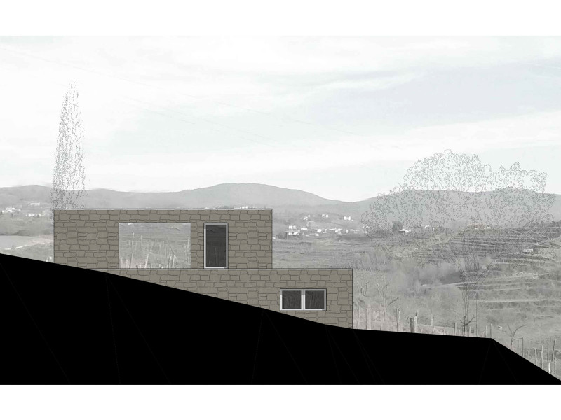 KAVCIC HOUSE Detail 6