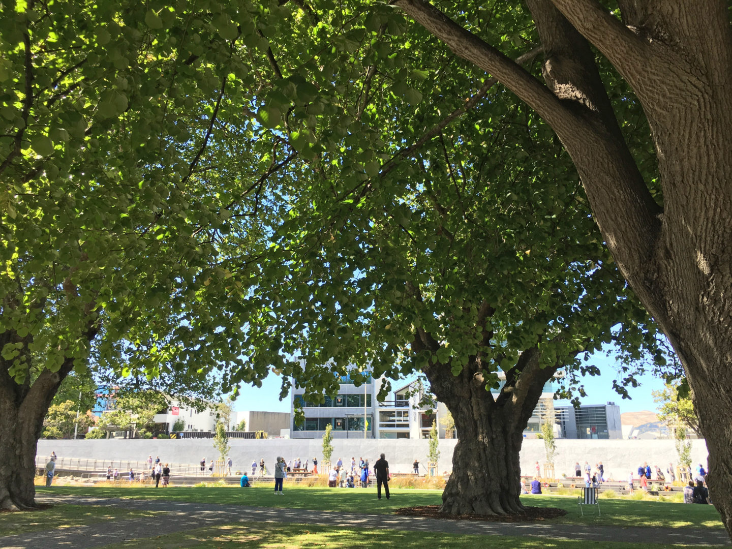 OI MANAWA - CANTERBURY EARTHQUAKE NATIONAL MEMORIAL Detail 2